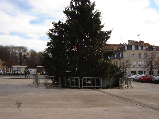 dsc03585.jpg