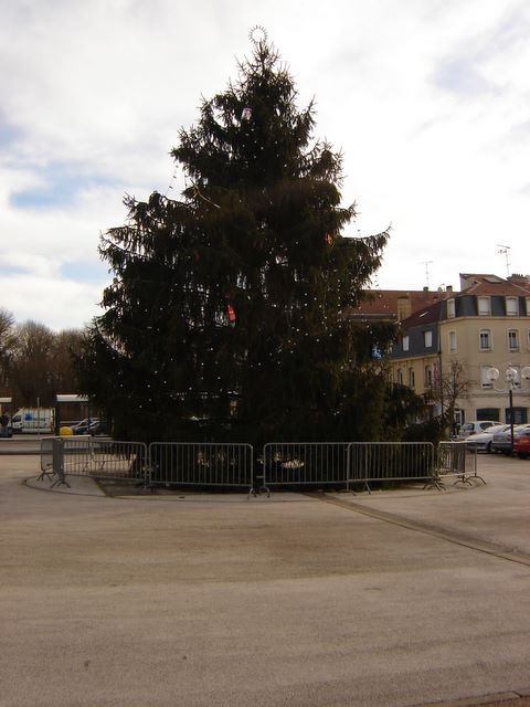 dsc03587.jpg
