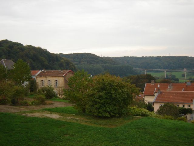 dsc03227.jpg