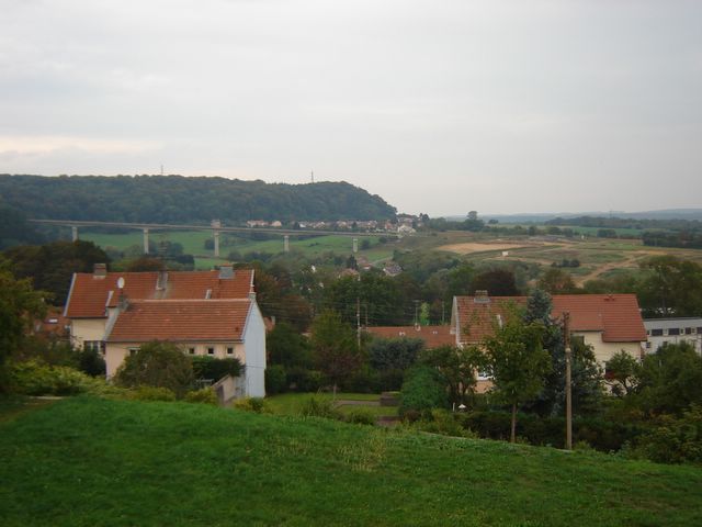 dsc03229.jpg