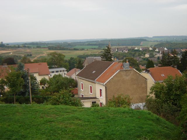dsc03231.jpg