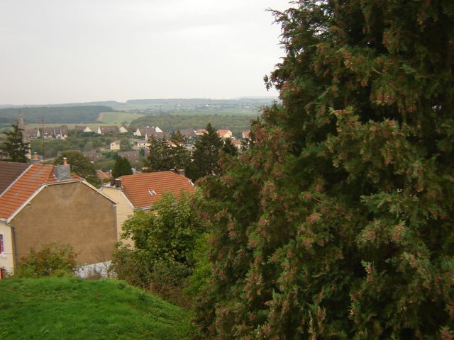 dsc03232.jpg