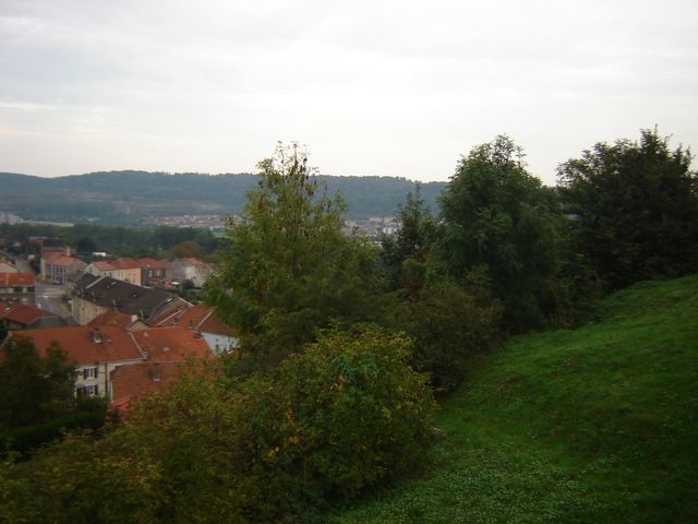 dsc03239.jpg