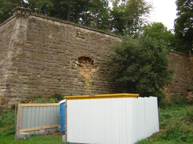 dsc03262.jpg