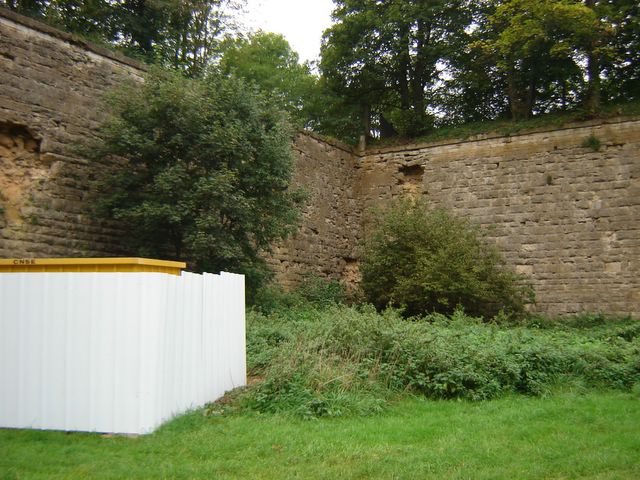 dsc03263.jpg