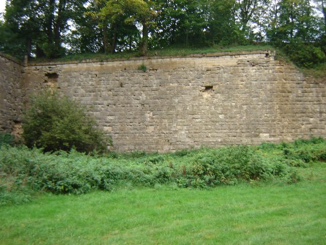 dsc03264.jpg