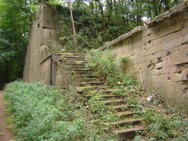 dsc03285.jpg