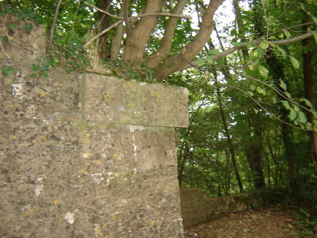 dsc03293.jpg
