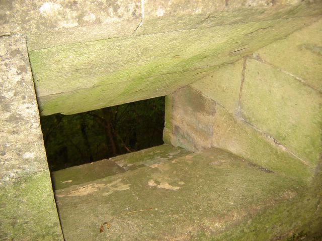 dsc03295.jpg
