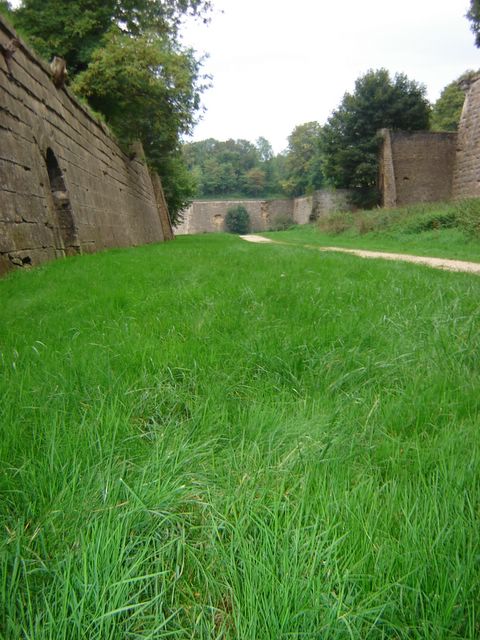 dsc03297.jpg