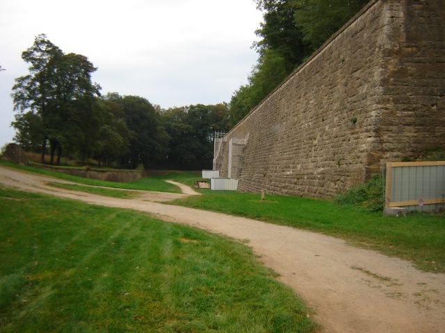 dsc03300.jpg