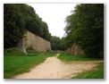 dsc03275.jpg